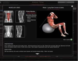 app-imuscle-aplicativo-com-animação-3d-músculos