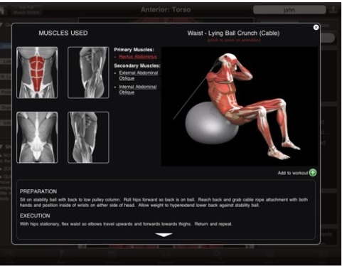 App iMuscle: Aplicativo de Exercícios Físicos que Mostra a Musculatura