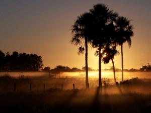 chaco-paraguai-