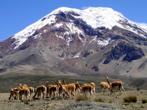 chimborazo-equador-foto