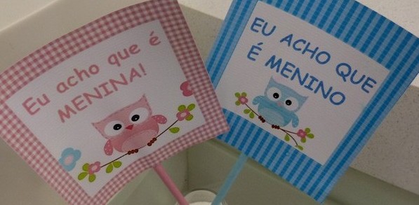 Chá de Revelação – Festa para Revelar à Família o Sexo do Bebê, Dicas