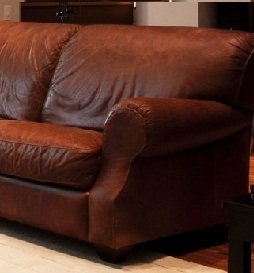 Como Limpar Tapetes e Estofados em Casa – Couro, Carpetes, Tecido Grosso