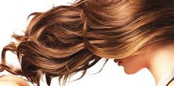 Receitas Caseiras de Máscaras para Cabelos Hidratação para cabelo Seco