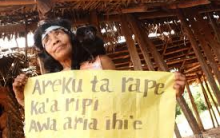 Conflitos Awá-Guajá: Invasões de Terras Indígenas e Ação do Greenpeace