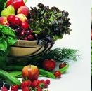 Dieta Detox – Dicas de Alimentos de Ajudam Desintoxicar após Exageros
