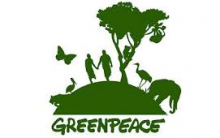 Como Trabalhar no Greenpeace: Vagas de Emprego e Como Mandar Currículo