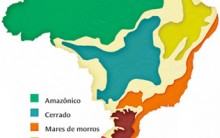 Domínios Morfoclimáticos do Brasil: Características, Tabela e Mapa