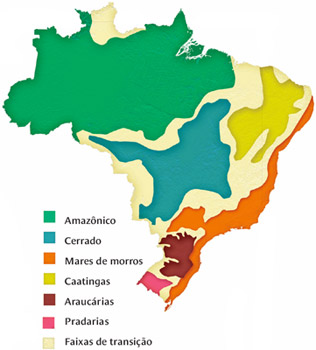 Domínios Morfoclimáticos do Brasil: Características, Tabela e Mapa
