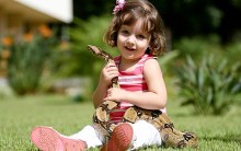 Cobra de Estimação: Onde Comprar, Espécies Favoritas, Lojas e Sites