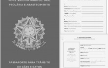 Passaporte para Cães e Gatos: Como Tirar, Informações, Endereço e Site