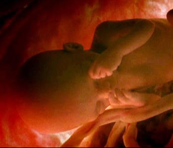 Cirurgia Fetal – Como se Inscrever SUS, Informações mais Você 19/03/14