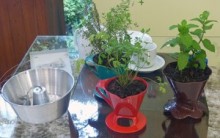 Horta Suspensa Plantar Ervas em Formas, Chaleiras para Decorar Cozinha