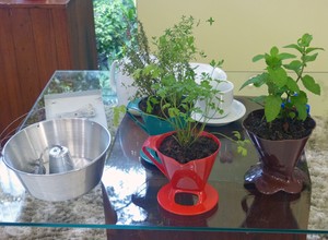 Horta Suspensa Plantar Ervas em Formas, Chaleiras para Decorar Cozinha