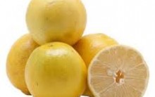 Lima da Pérsia Emagrece – Benefícios, Dieta, Receitas Suco Emagrecedor