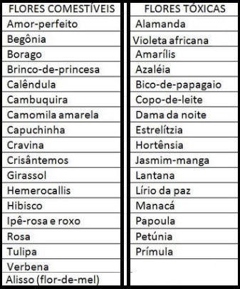 flores-comestíveis-e-flores-tóxicas-nome-