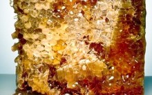 Receitas Caseiras de Beleza com Mel – Cremes Caseiros de Mel