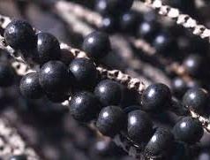 Açaí Emagrece e Melhora Pele – Vitaminas do Açaí