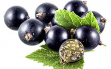 Groselha Negra combate Celulite, Ruga e Faz Emagrecer