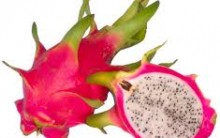 Pitaya, Koubo Emagrece, Rejuvenesce Benefícios Fruta à Saúde