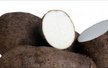 Benefícios do Cará para a Saúde – Receitas que levam Cará e Nutrientes