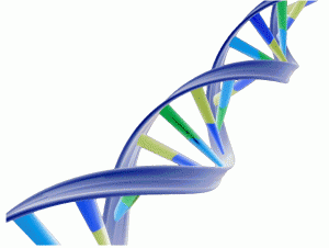 dna-i