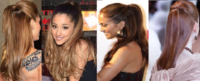 shih-tzu-cabelo-rabo-meio-preso-meio-solto-moda