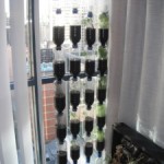 Hydroponic-Bottle-Garden-hidroponia-de-janela-