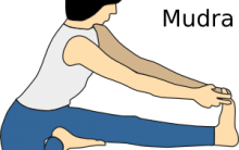 Mahamudra Atividade Física – Como é Feita, Exercícios Usados