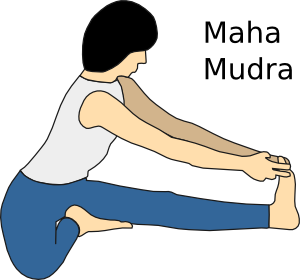 Mahamudra Atividade Física – Como é Feita, Exercícios Usados