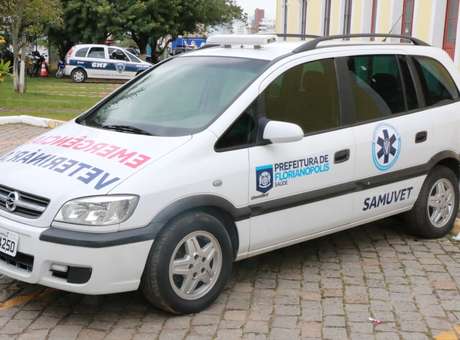 Samuvet – Samu Veterinário para Animais de Rua em SC