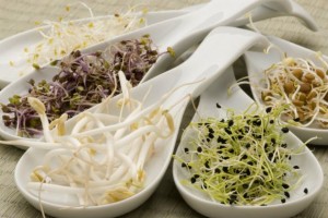 alimentos-germinados-como-germinar-grãos-suco-vivo-