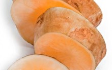 Batata Yacon Emagrece e Controla Glicemia – Insulina Natural
