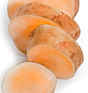 batata-yacon-combate-diabetes-insulina-natural-como-usar