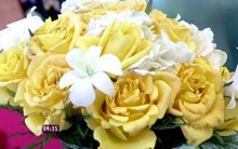 Buquê Ideal para Cada Signo – Que Flor Combina com Você?