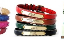 Coleiras Personalizadas para Cachorro – Onde comprar, Preços