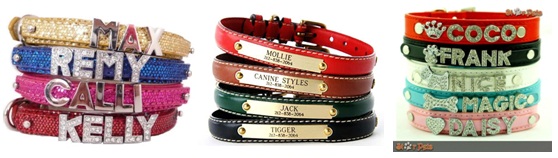 Coleiras Personalizadas para Cachorro – Onde comprar, Preços