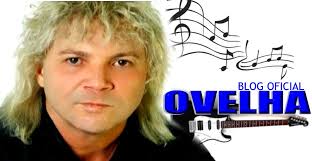 ovelha-cantor-participante-de-a-afzaenda-7