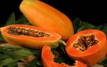 Remédios Caseiros contra Vermes – Receitas de Vermífugos