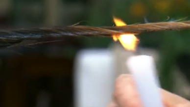 Cortar os Cabelos com Fogo, Vento e Água – Dicas Bem Estar
