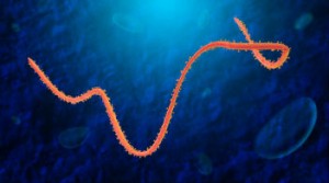 ebola-sintomas-causas-tratamento-sinais-doença-notícias-