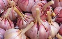 Benefícios do Alho – Vitamina, Remédio Caseiro com Alho