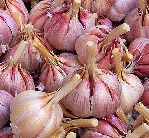 Benefícios do Alho – Vitamina, Remédio Caseiro com Alho