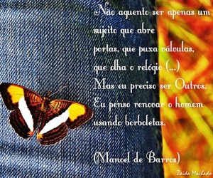 poesia-de-manoel-d-ebarros-sobre-borboletas-