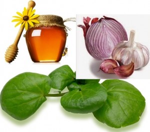 suco-verde-para-limpar-veias-do-coraçao-com-agriao-alho-cebola-mel-