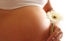 Vacina contra Coqueluche para Grávidas no SUS