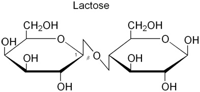 componentes-químicos-da-célula-glicídios-e-lipídios-lactose