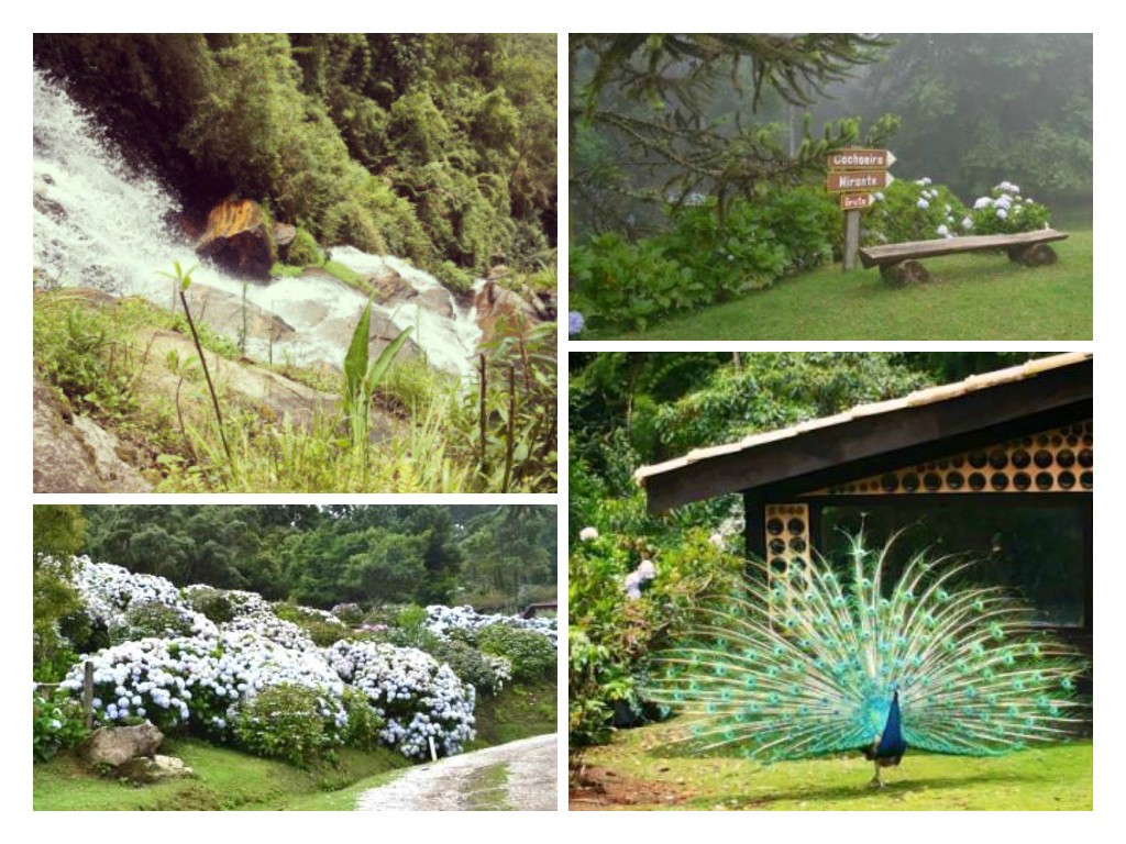 Fotos da Fazenda Lenz Gourmet