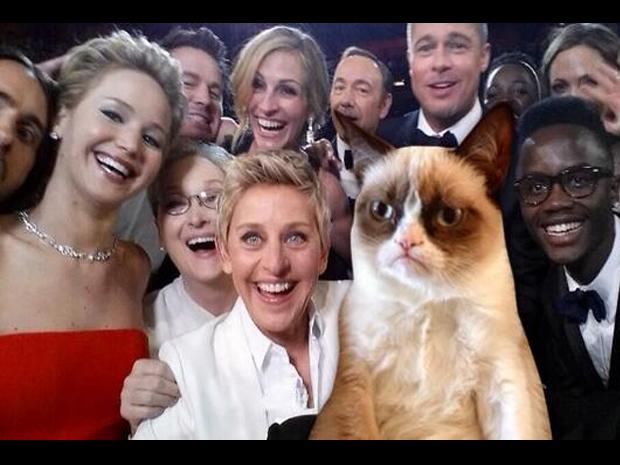 Melhores Memes de 2014: Retrospectiva do Humor em Fotos