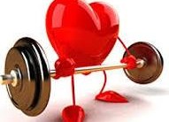 Estrutura e Função do Sistema Cardiovascular