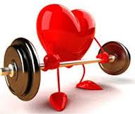Estrutura e Função do Sistema Cardiovascular